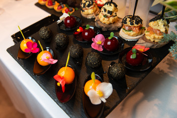 Delicious colorful appetizers on black black tray. Catering service on event.