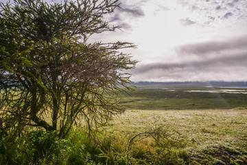 Obraz na płótnie Canvas Landscape in Tanzania