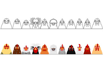 various chicken in a row © Ayumi Onishi