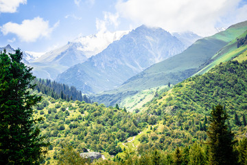 Obraz premium Mountain Nature