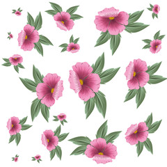 patroon bloemen met bladeren geïsoleerd pictogram