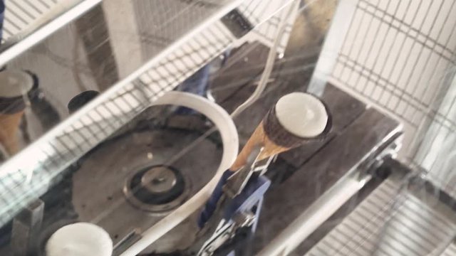 ice cream production, transportation waffle-cone with plombir ice cream on production line, dairy products.