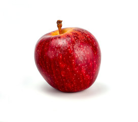 red apple on white background, new zealand queen apple