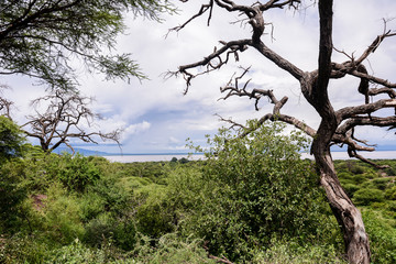 Fototapeta na wymiar Landscape in Africa