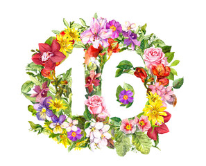 Floral number 16 sixteen from summer flowers and meadow grass. Watercolor for birthday card