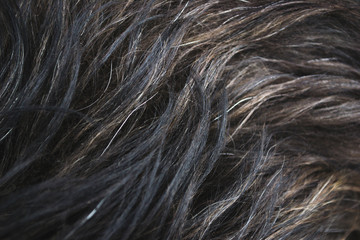 Naklejka premium Hair man macro shot