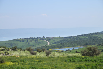Fototapeta na wymiar Galilee scenery, Israel