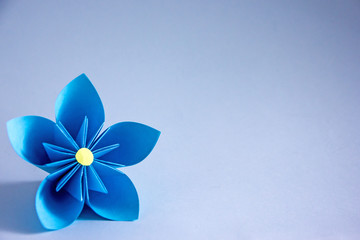 Beautiful exotic flower origami on a blue background.Paper flower. Copy space