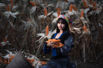 A beautiful young woman wearing a Hmong hat with maize at an organic farm. Women smile and show.