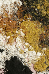 Abstract colorful powder background, close up view of mixed powders, design element
