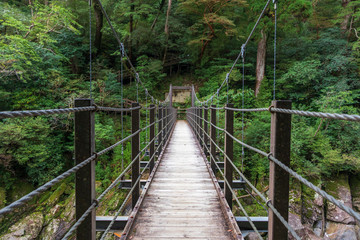 A suspension bridge crossing a river in lush rainforest on the southern island of Yakushima, Japan