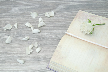 A small white rose lies on a vintage diary with scattered petals on a wooden table background.