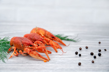 Boiled crayfish with peps on a gray wooden background.