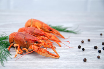 Boiled crayfish with peps on a gray wooden background.
