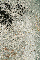 Abstract colorful powder background, close up view of mixed powders, design element