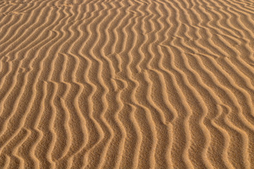 Fototapeta na wymiar Background. Sand texture
