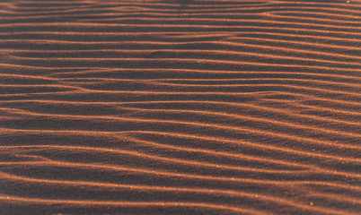 Background. Sand texture