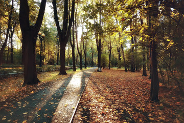 path autumn park / autumn landscape, yellow park in autumn trees and leaves, a beautiful sunny day in the city park. the fall