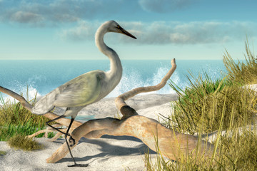 A white egret stands among some grassy dunes next a piece of driftwood on a sunny beach with crashing waves. 3D illustration - obrazy, fototapety, plakaty