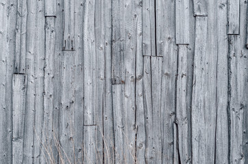 Wall of the old gray boards, damaged by climate. Vintage wood background