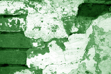 Old grungy brick wall texture in green tone.