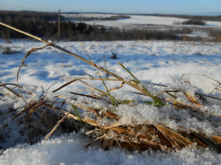 Первый снег