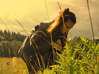 В утреннем поле