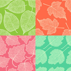 Set of four seamless patterns with skeleton leaves. Stefanander, hawthorn and poplar.