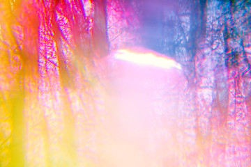 Obraz na płótnie Canvas Magical hallucinogenic abstract forest with color bokeh light