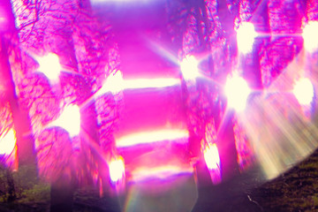 Magical hallucinogenic abstract forest with color bokeh light
