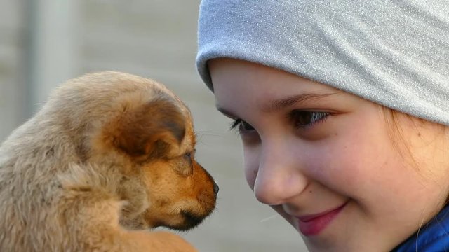 A young girl holds a puppy in her arms and smiles. Get a pet. The red-haired little dog has found its owner.