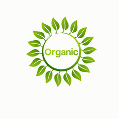 ecommerce, organic products promotion, healthy life 