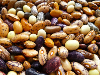Bean mix for backgrounds or textures. Assorted dried beans close up. Variety of protein rich colorful raw dried beans. Multicolored mixed dried beans on a white background.