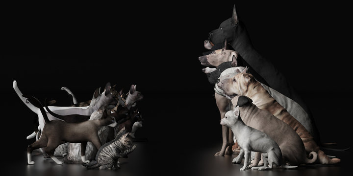 Bengai Bilder Durchsuchen 52 Archivfotos, und Videos