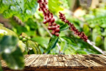 Desk of free space for your decoration and coffee plantation. 