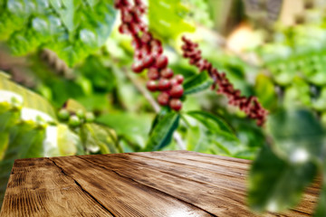 Desk of free space for your decoration and coffee plantation. 