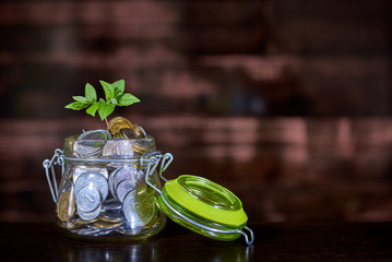 young sprout in the glass jar with coins. concept of saving and earning money