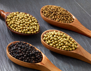 Fototapeta premium Indian spices pepper arranged in spoons on a tray background