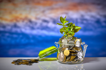 young sprout in the glass jar with coins. concept of saving and earning money