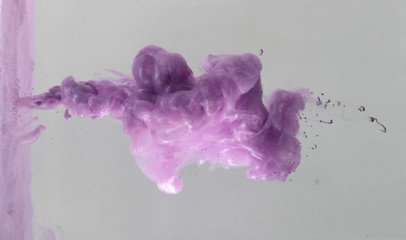 Purple ink in water, acrylic splash, liquid. 