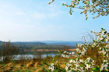 Obraz na płótnie Canvas Blooming trees on a mountain lake in the open air against the background of the forest and mountains