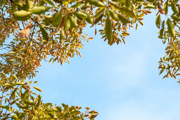 高砂市向島公園・春景色の東播磨港青空