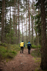 Obraz premium hiking in forest