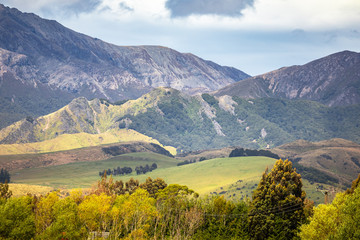 mountain view in New Zealand