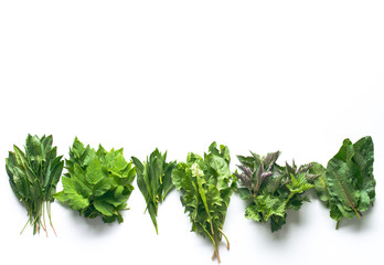 variety of wild edible plants on white background with copy space