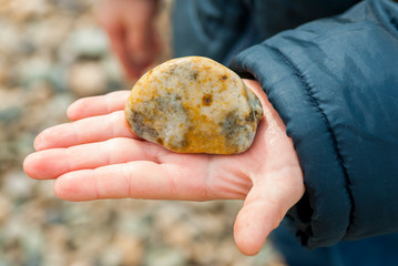 wet yellow sea stone in the hand of a child