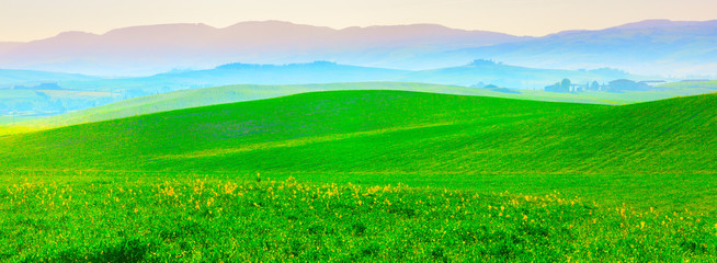 Fototapeta na wymiar Stunning Landscape in Tuscany, Italy.