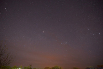 Evening shining starry sky, blue space background with stars. Night sky full of stars and sunrise on the background horizon. Cosmos. Purple dark sky with many stars above field of trees
