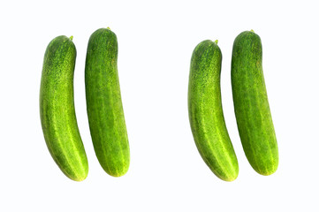  Cucumber on a white background isolated on