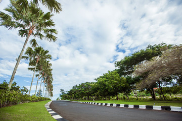 road with palm trees background of blue sky with clouds